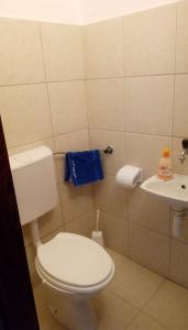 a bathroom with a toilet and a sink at Apartment in Petrcane/Zadar Riviera 7866 in Petrcane