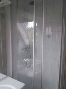 a shower with a glass door in a bathroom at Apartment Usedom 3 in Welzin