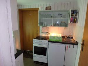 eine Küche mit einem weißen Herd und einer Spüle in der Unterkunft Apartment in Wutha-Farnroda 3178 in Mosbach