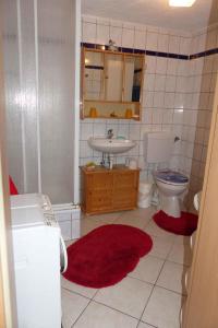 La salle de bains est pourvue d'un lavabo et de toilettes. dans l'établissement Apartment Fuhlendorf 2, à Bodstedt