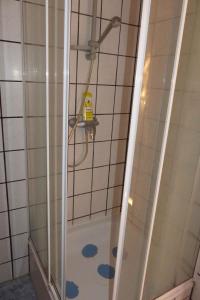 a shower with a glass door in a bathroom at Apartment Fuhlendorf 1 in Bodstedt