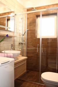 a bathroom with a shower and a toilet and a sink at Apartment in Grebastica 7034 in Grebaštica