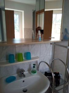 a bathroom with a sink and a mirror at Apartment Klausdorf 2 in Klausdorf Mecklenburg Vorpommern