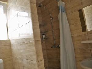 y baño con ducha y cortina de ducha. en Holiday home Balatonbereny/Balaton 18118, en Part