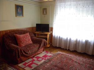 a living room with a chair and a television at Holiday home in Balatonfenyves 18379 in Balatonfenyves