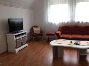 バラトンベレーニにあるApartment in Balatonbereny/Balaton 18047のリビングルーム(ソファ、テレビ付)