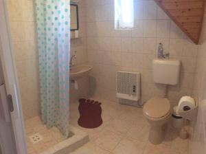 ギェネシュディアーシュにあるHoliday home in Gyenesdias/Balaton 18816のバスルーム(トイレ、洗面台付)