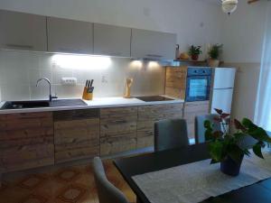 Kuchyň nebo kuchyňský kout v ubytování Apartment Lovran 15546