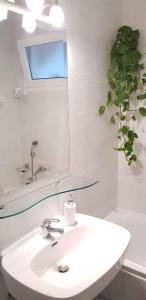 Fotografie z fotogalerie ubytování Apartment in Ika 15099 v destinaci Opric