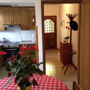 Kuchyň nebo kuchyňský kout v ubytování Apartment Stinjan, Istria 5