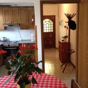 Fotografie z fotogalerie ubytování Apartment Stinjan, Istria 5 v destinaci Štinjan