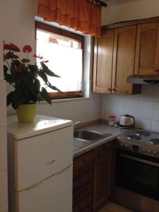 Kuchyň nebo kuchyňský kout v ubytování Apartment Stinjan, Istria 5