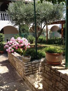 Zahrada ubytování Apartment Stinjan, Istria 5
