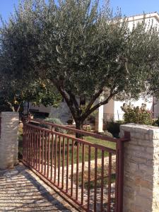 Fotografie z fotogalerie ubytování Apartment Stinjan, Istria 5 v destinaci Štinjan