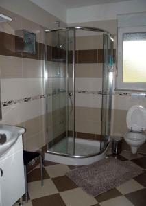 a bathroom with a shower and a toilet at Apartment Liznjan 5 in Ližnjan