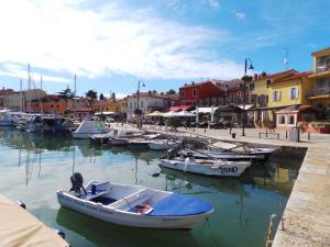 Gallery image of Apartment in Vrbnik/Insel Krk 13612 in Vrbnik