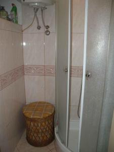 ein Bad mit einer Dusche und einem Korbkorb in der Unterkunft Apartment Pula 15 in Vintijan