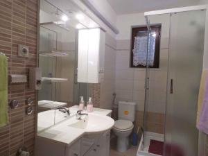 łazienka z umywalką, toaletą i prysznicem w obiekcie Apartment Fazana, Istria 11 w Fažanie +21 zdjęć