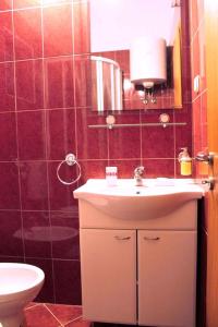a bathroom with a sink and a toilet and a mirror at Apartment Valbandon, Istria 12 in Štinjan