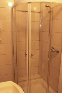 a shower with a glass door next to a toilet at Apartment Valbandon 8 in Štinjan