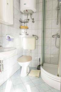 a bathroom with a toilet and a shower and a sink at Apartment Pula, Istria 3 in Veli Vrh