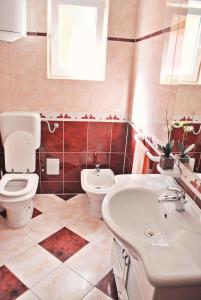 a bathroom with a toilet and a sink at Holiday home in Muntic - Istrien 10956 in Muntić