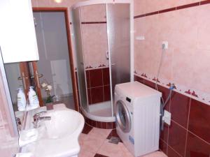 a bathroom with a toilet sink and a washing machine at Holiday home in Muntic - Istrien 10956 in Muntić +19 photos