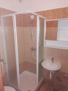 a bathroom with a shower and a sink at Apartment Valbandon 13 in Štinjan