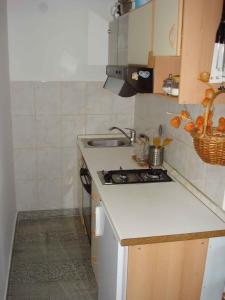 a small kitchen with a sink and a stove at Apartment Zlarin 1 in Zlarin