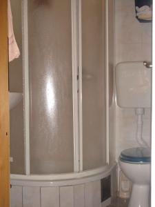 a shower stall in a bathroom with a toilet at Apartment Zlarin 1 in Zlarin