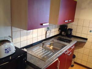eine Küche mit einer Spüle und einer Arbeitsplatte in der Unterkunft Holiday home in Waltershausen OT Fischbach 3171 in Fischbach