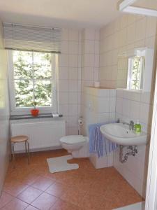 ein Bad mit einem WC, einem Waschbecken und einem Fenster in der Unterkunft Apartment Sayda 3 in Pilsdorf