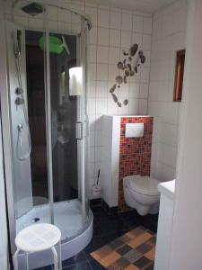 uma casa de banho com um chuveiro e um WC. em Holiday Home Gohren - Ostseebad 1 em Göhren