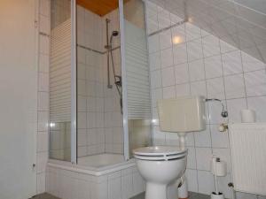 a bathroom with a toilet and a shower at Apartment in Fuhlendorf 2747 in Fuhlendorf +16 photos