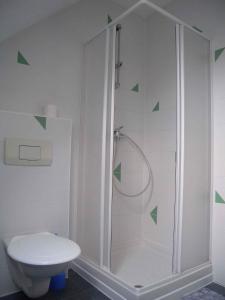 biała łazienka z prysznicem i toaletą w obiekcie Apartment in Frantiskovy Lazně 1609 w mieście Dolní Lomany