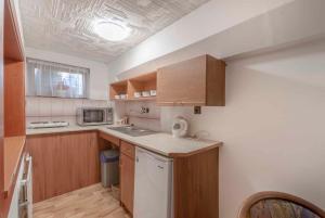 a small kitchen with wooden cabinets and a sink at Apartment Svoboda nad upou 2 in Svoboda nad Úpou