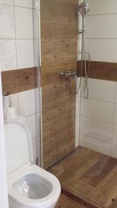 a bathroom with a toilet and a shower stall at Holiday home Marianska/Erzgebirge 1668 in Zálesí