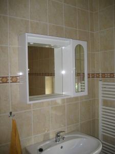 y baño con lavabo y espejo. en Holiday home in Krivoklat 1156, en Křivoklát