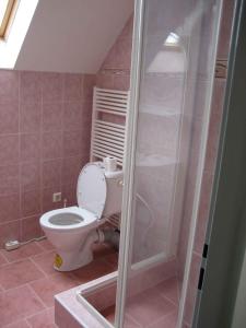 y baño con aseo y ducha. en Holiday home in Krivoklat 1156, en Křivoklát