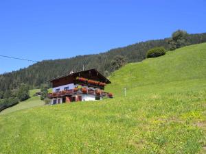 a house on a hill in a green field at Apartments in Bruck am Ziller - Zillertal 857 in Bruck am Ziller