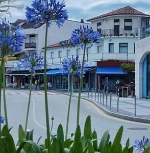 una calle con flores azules frente a un edificio en Nuevo Hotel Sydney, en Suances