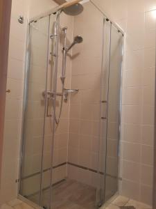 a shower with a glass door in a bathroom at Apartment Kolman in Tolmin