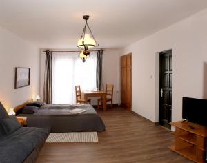 1 dormitorio con cama, sofá y TV en Súgó Panzió Madarasi Hargita, en Izvoare