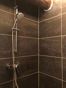 La salle de bains est pourvue d'une douche et de carrelage noir. dans l'établissement A Room with a View - Maisonnette dans bourg médiéval au bord du Lac Léman, à Yvoire