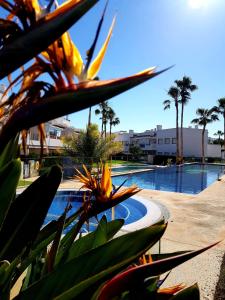 Bazén v ubytovaní Apartment, Linnea Sol, Orihuela alebo v jeho blízkosti