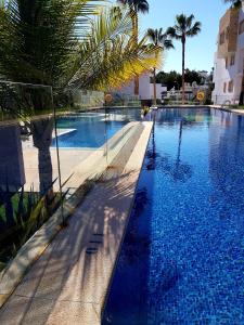 duży basen z niebieską wodą i palmami w obiekcie Apartment, Linnea Sol w mieście Orihuela Costa