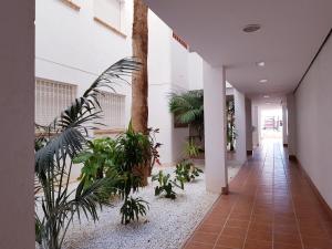 Fotografia z galérie ubytovania Apartment, Linnea Sol, Orihuela v destinácii Orihuela Costa