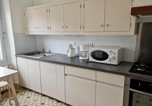 encimera de cocina con microondas y fregadero en GÎTE GUERY en Chambon-sur-Lac