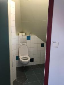 een kleine badkamer met een toilet in een stal bij Logeren bij de Ruimte in Nijeholtpade