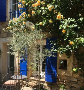 un oranger avec une table en face d'un bâtiment dans l'établissement Les Aiguières en Provence, à Suze-la-Rousse
